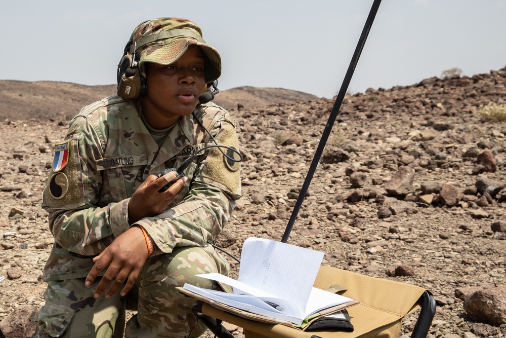 French, U.S. Soldiers conduct joint artillery live-fire exercise