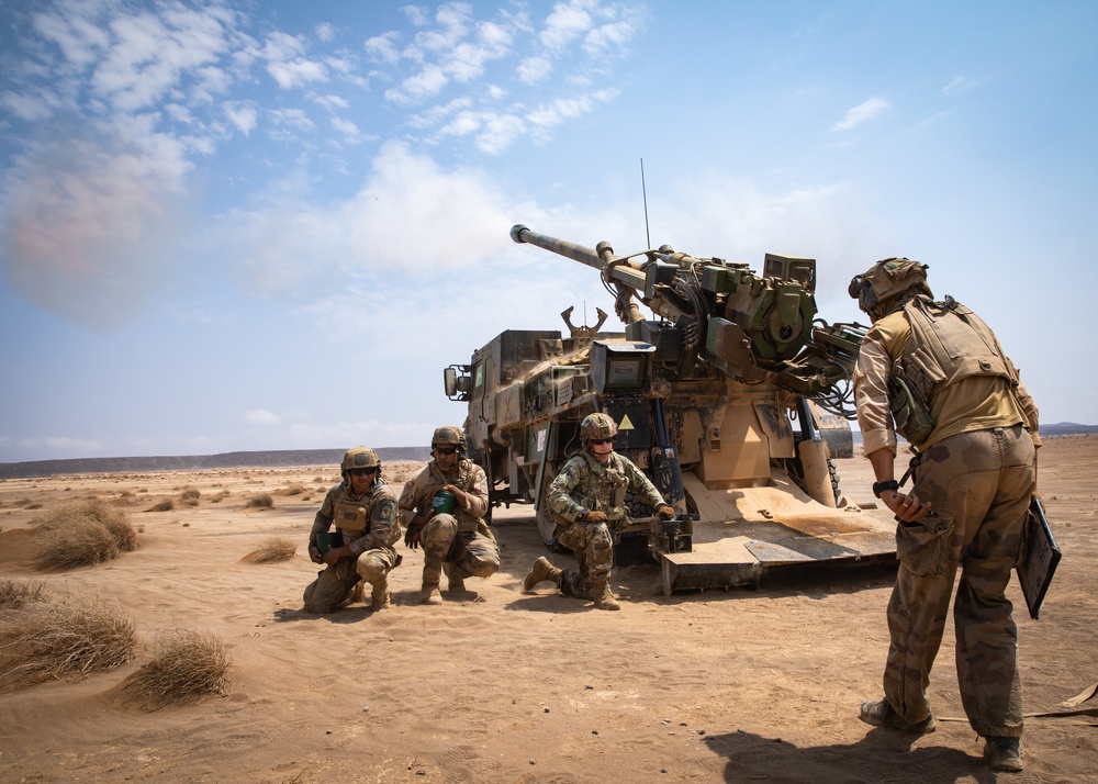 French, U.S. Soldiers conduct joint artillery live-fire exercise