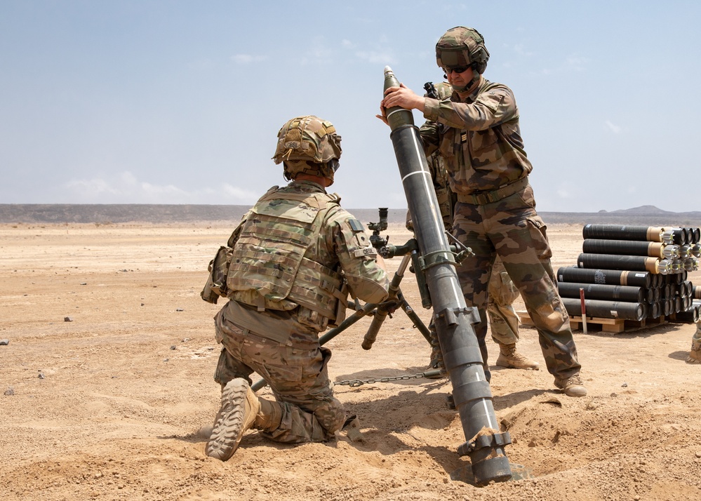French, U.S. Soldiers conduct joint artillery live-fire exercise