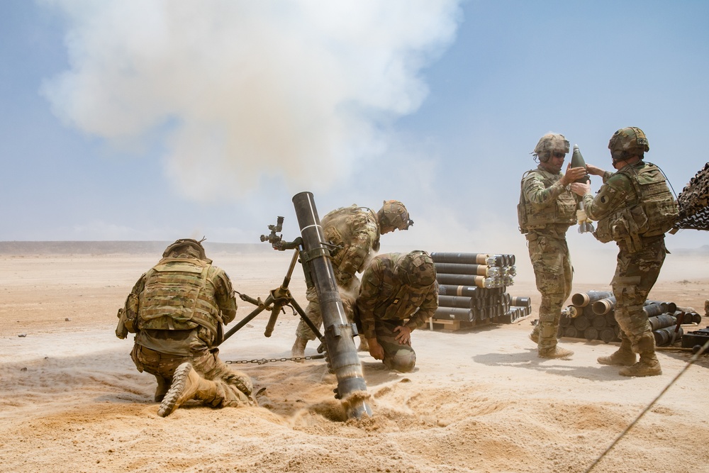 French, U.S. Soldiers conduct joint artillery live-fire exercise