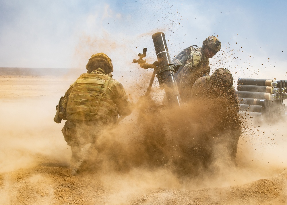 French, U.S. Soldiers conduct joint artillery live-fire exercise