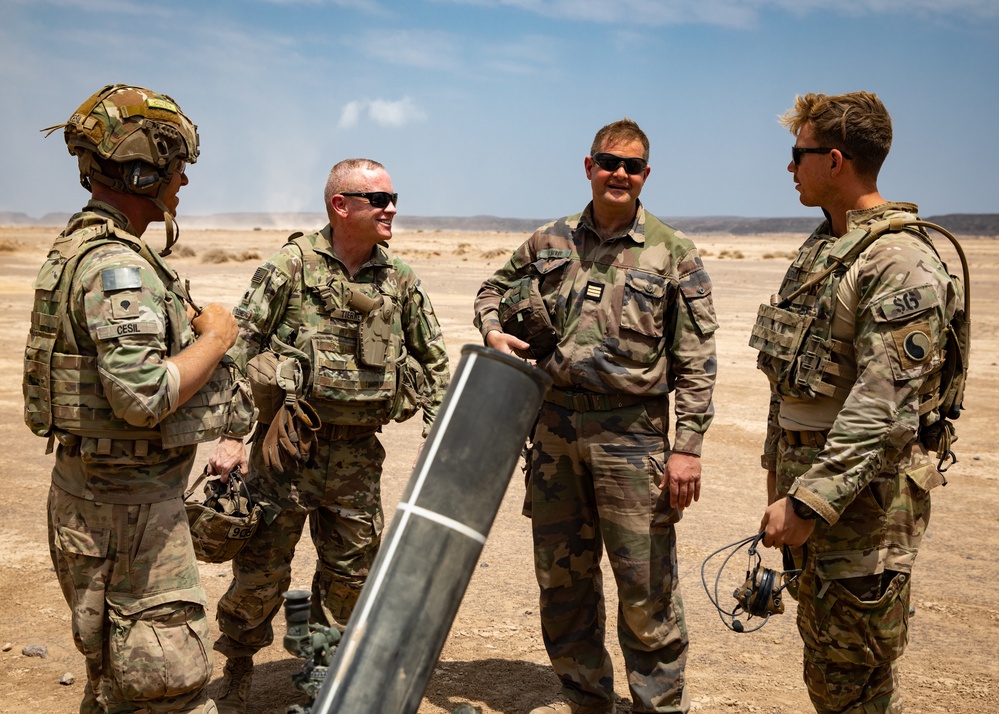 French, U.S. Soldiers conduct joint artillery live-fire exercise