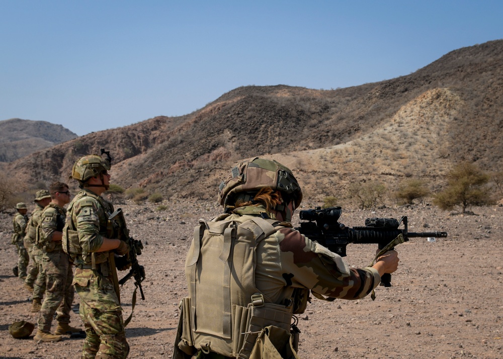 French, U.S. Soldiers conduct close-quarters marksmanship training