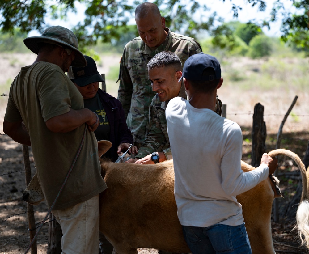 JTF-Bravo vaccinates cattle during VETRETE