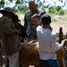 JTF-Bravo vaccinates cattle during VETRETE