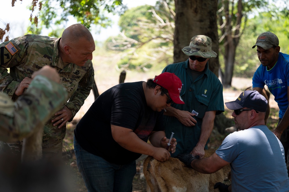 JTF-Bravo vaccinates cattle during VETRETE