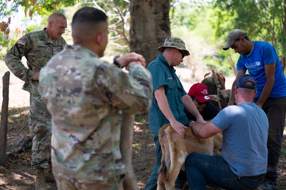 JTF-Bravo vaccinates cattle during VETRETE