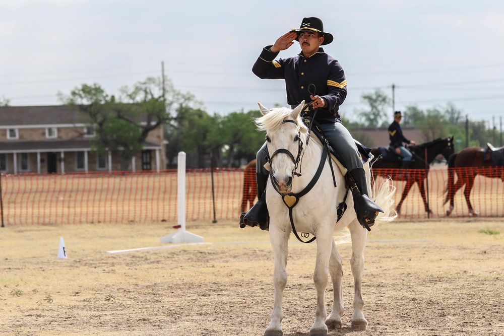 Regional Cavalry Competition 2022