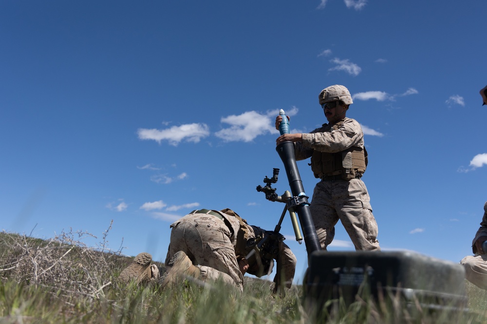 Garnet Rattler Suppressing Mortar Fire