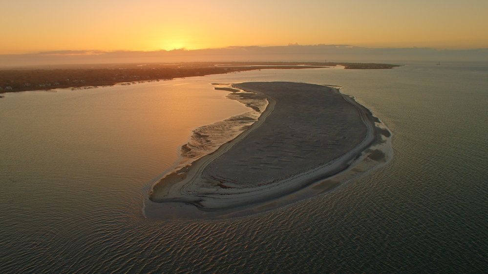 Adding to the Galápagos of South Carolina: return of shorebirds to Crab Bank worthy of celebration