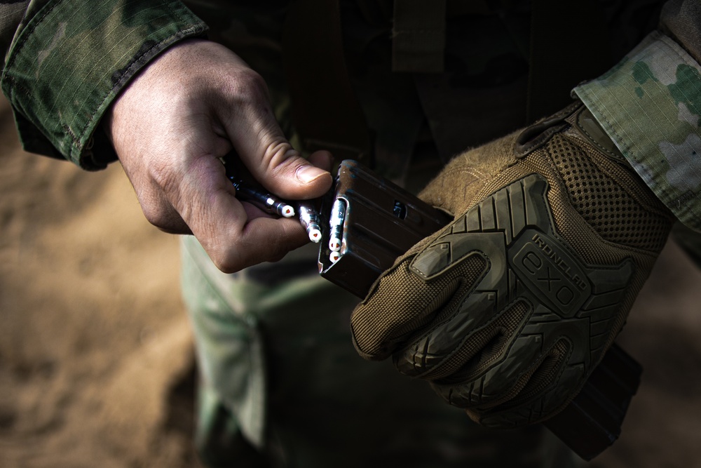 C Co. 3-66 Conduct Gothic Cobra Exercise