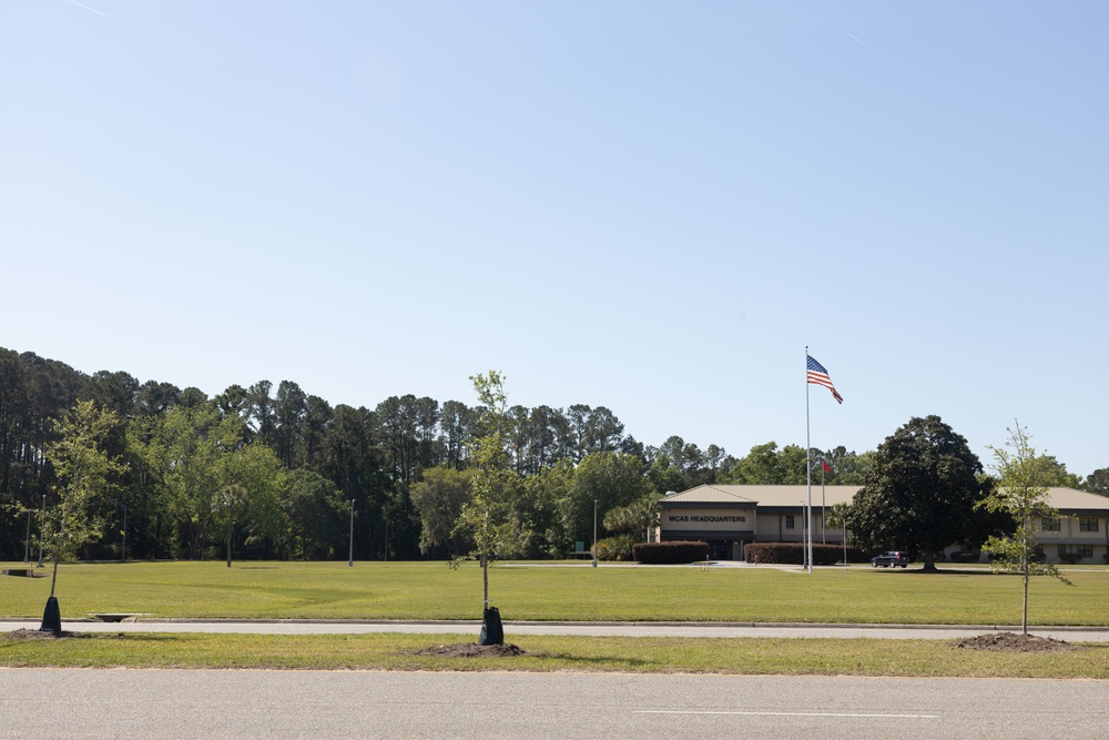 MCAS Beaufort celebrates Earth Day