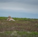 Marines train at Idaho's premier ranges, joint training