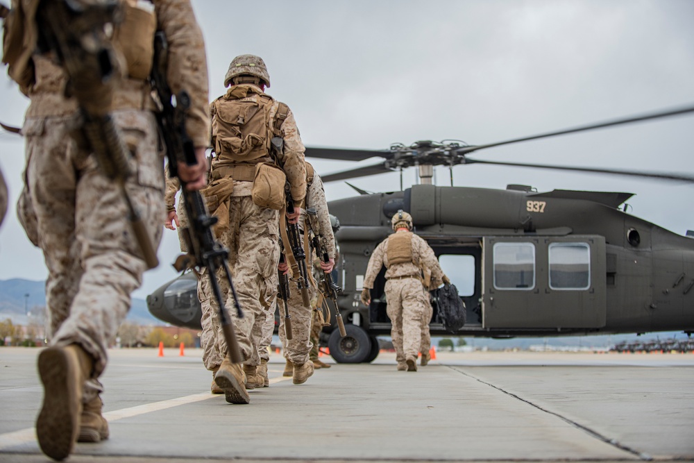 Marines train at Idaho's premier ranges, joint training