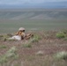 Marines train at Idaho's premier ranges, joint training