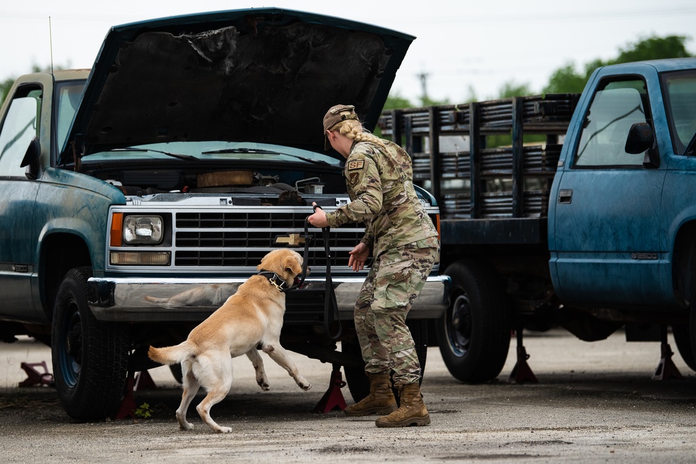 DVIDS - Images - Military Working Dogs and Handlers Train [Image 1 of 16]