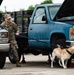 Military Working Dogs and Handlers Train