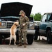 Military Working Dogs and Handlers Train