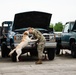 Military Working Dogs and Handlers Train