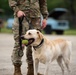 Military Working Dogs and Handlers Train