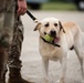 Military Working Dogs and Handlers Train