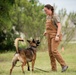 Military Working Dogs and Handlers Train