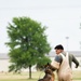 Military Working Dogs and Handlers Train