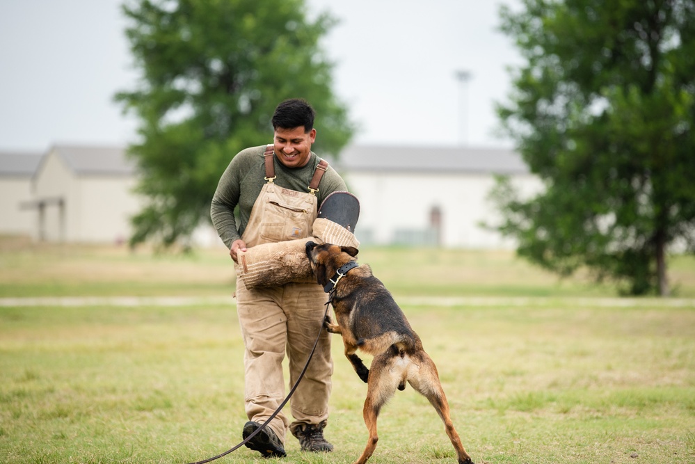 Military Working Dogs and Handlers Train
