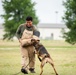 Military Working Dogs and Handlers Train