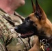 Military Working Dogs and Handlers Train