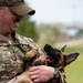 Military Working Dogs and Handlers Train