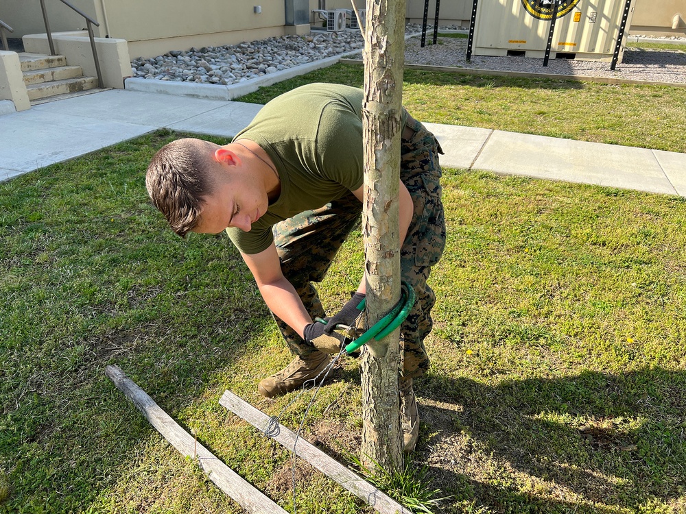 U.S. Marines from Marine Corps Security Force Regiment, Hampton Roads volunteer on Earth Day.