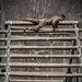 W.Va. Guard holds annual Best Warrior competition