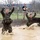 Pa. Guardsmen seek selection for Ranger and Sapper schools