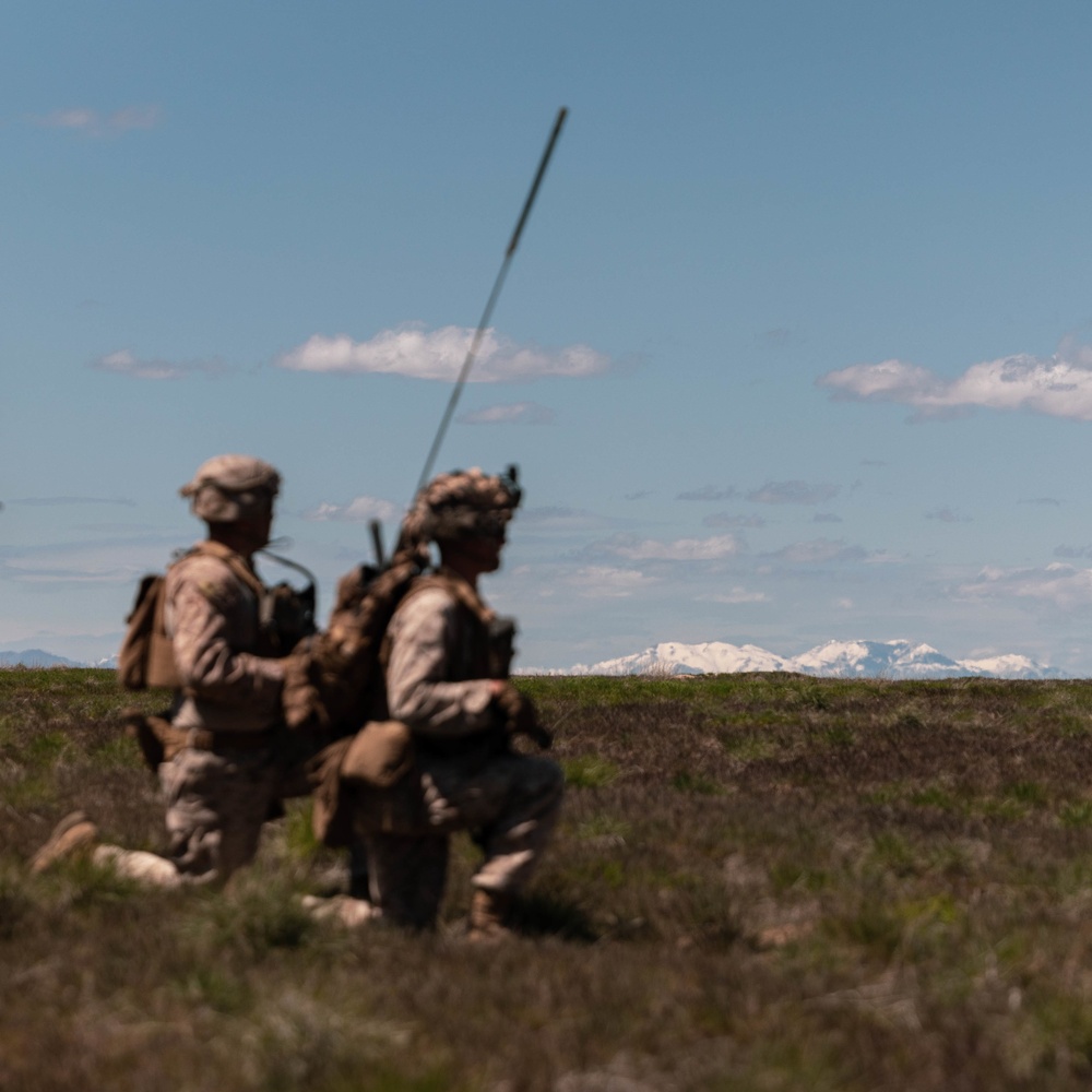 Exercise Garnet Rattler: Raid to Recover POW/MIA Personnel