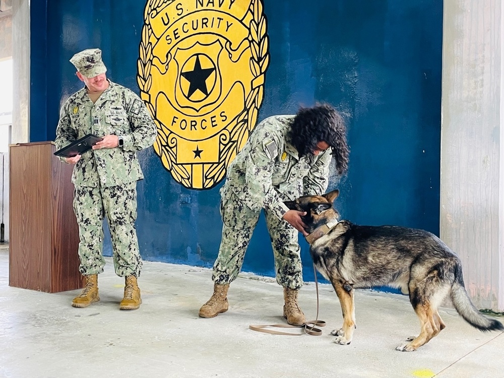 Naval Base Guam Military Working Dog Roby Retires