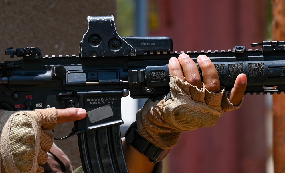 Task Force Red Dragon Trains with the French Foreign Legion