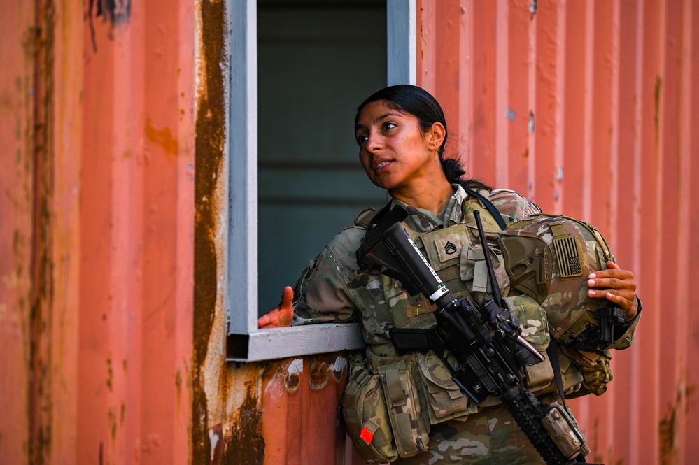 Task Force Red Dragon Trains with the French Foreign Legion