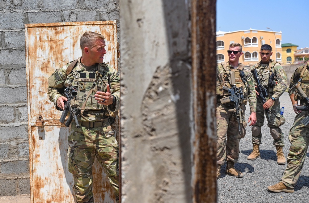 Task Force Red Dragon Trains with the French Foreign Legion