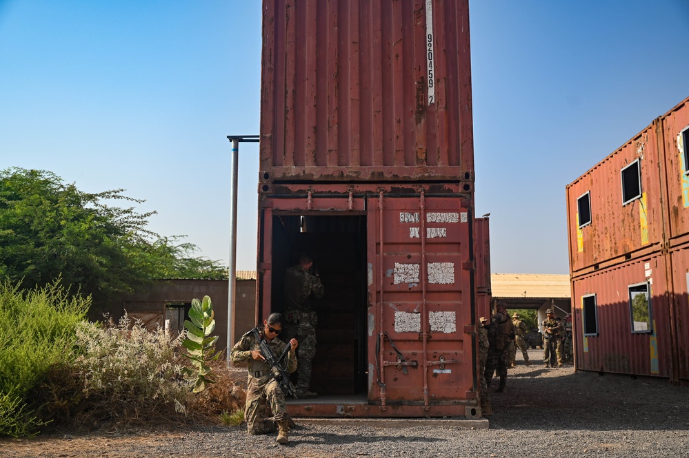 Task Force Red Dragon Trains with the French Foreign Legion