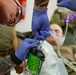 &quot;Quarterhorse&quot; medics conduct blood transfusion training