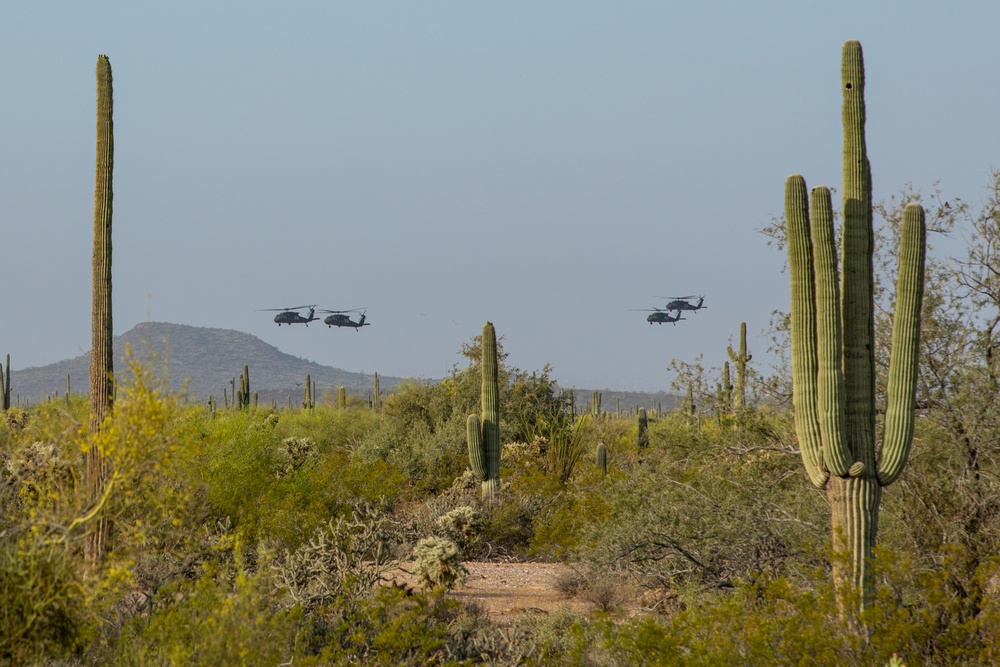 Arizona National Guard Soldiers Conduct Air Assault Training