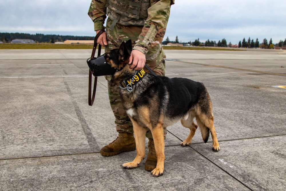 Military Working Dog Familiarization Flights