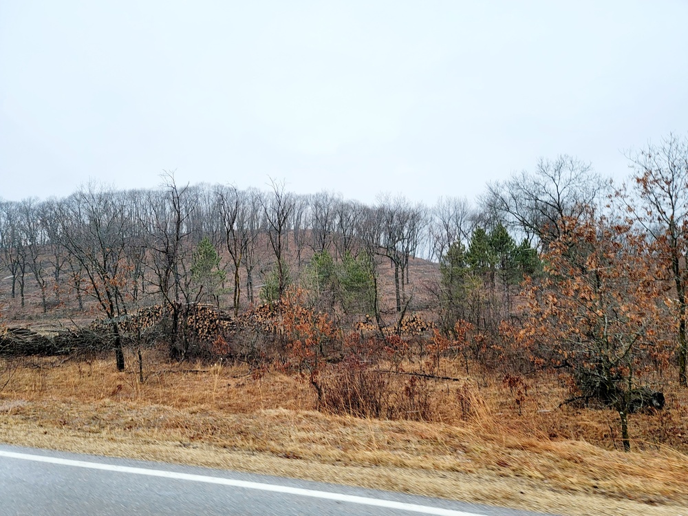 Fort McCoy timber sales, harvest help maintain post's forest lands