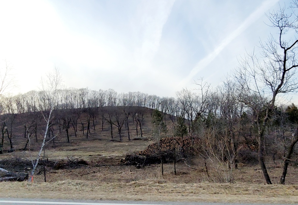 Fort McCoy timber sales, harvest help maintain post's forest lands