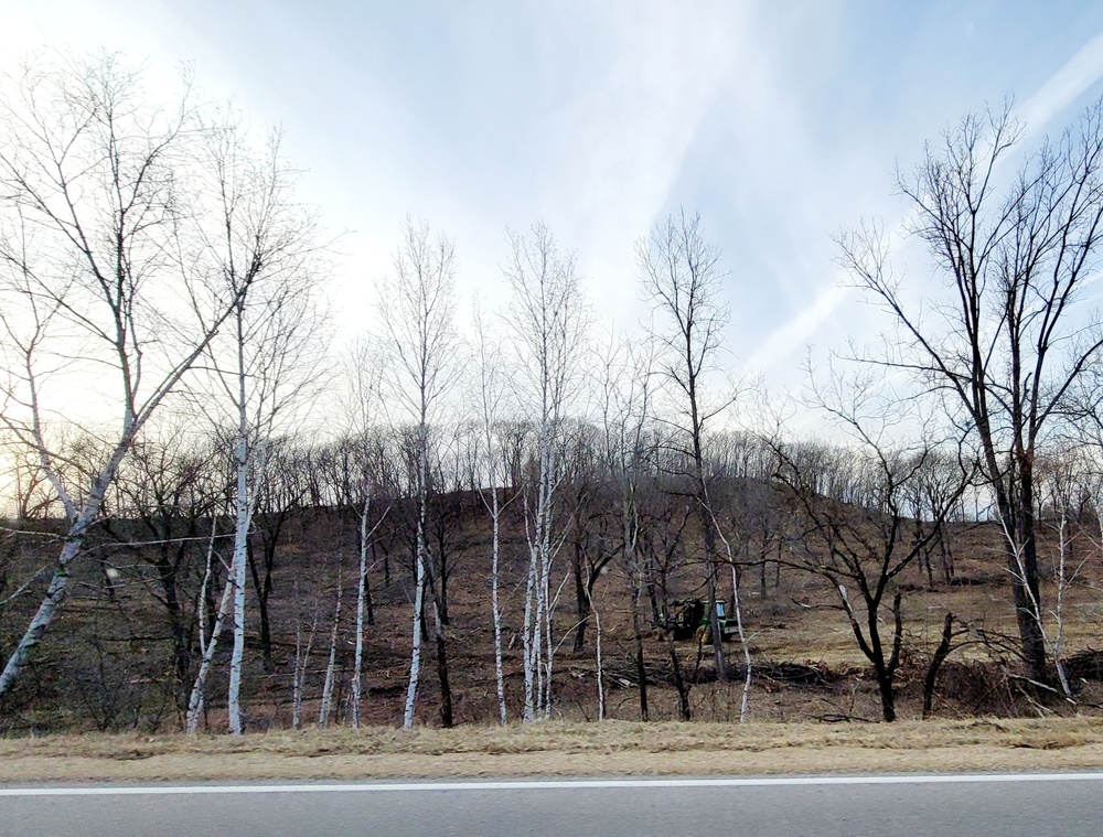 Fort McCoy timber sales, harvest help maintain post's forest lands