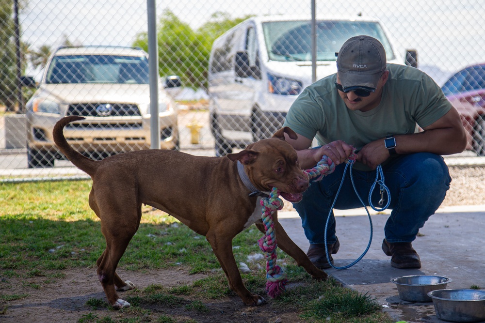 Humane Society