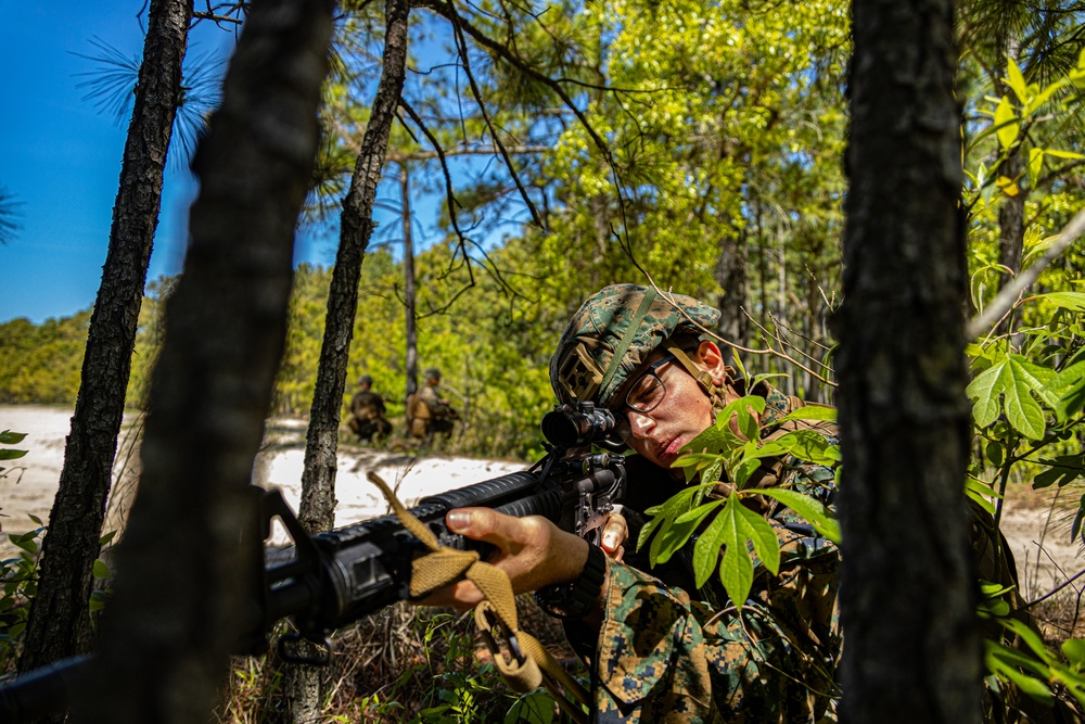 Engineer Support Company conducts field exercise (Day 1)