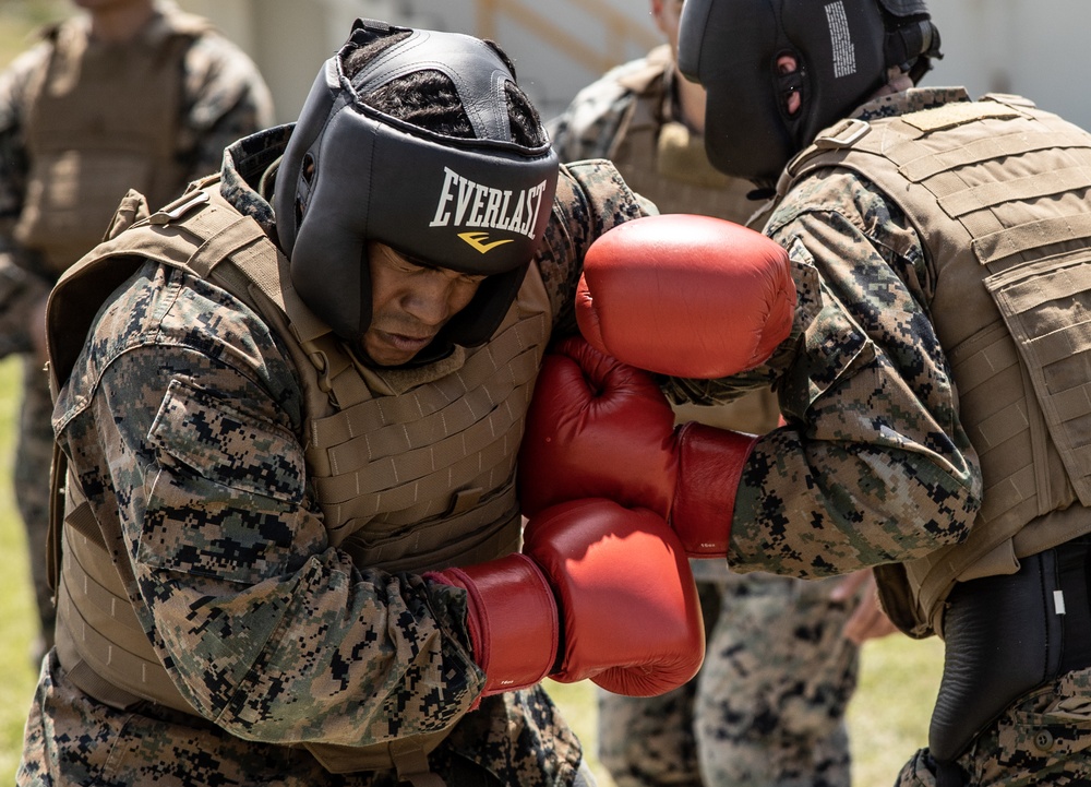 U.S. Marines Participate in Martial Arts Instructor course