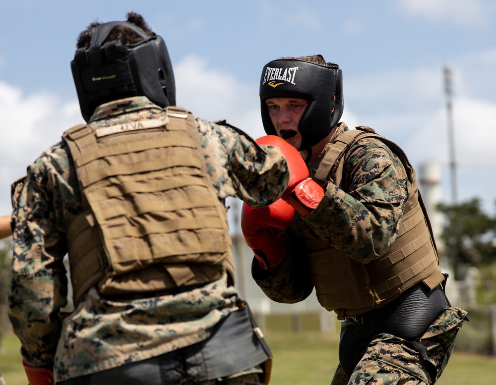 U.S. Marines Participate in Martial Arts Instructor course